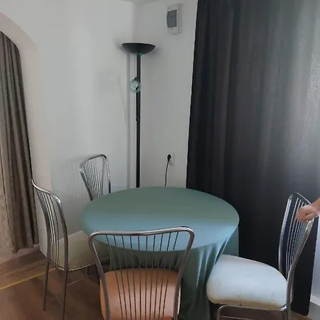 Apartment Viki Vrsac