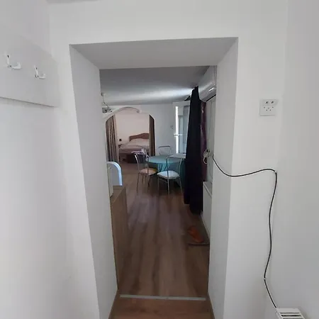 Apartment Viki