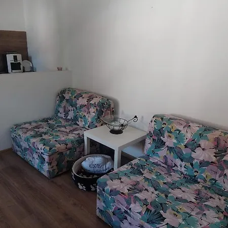 Apartment Viki *