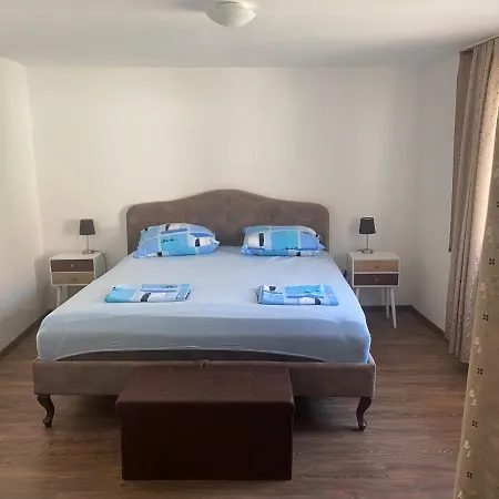 Apartment Viki